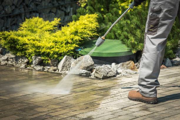 Best Winterizing Services  in Olney, TX