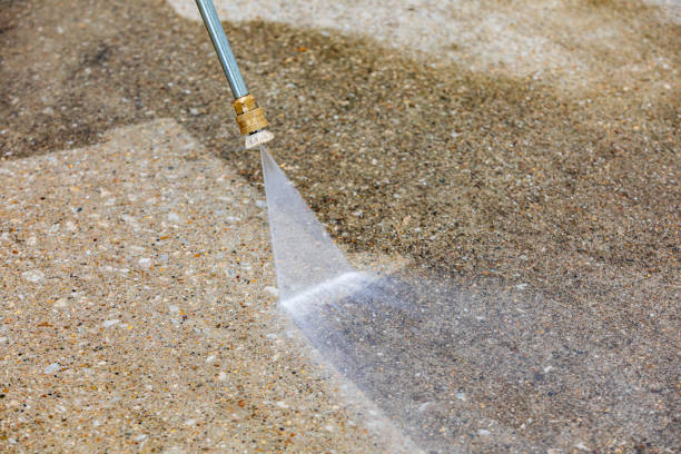 Best Animal Enclosure Cleaning  in Olney, TX