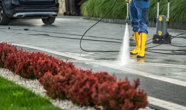 Best Graffiti Removal  in Olney, TX